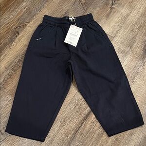 ZARA navy blue pants